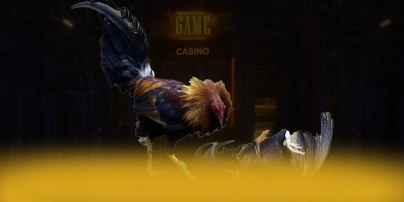 KUWIN - Cổng trò chơi tối ưu trong giới game thủ