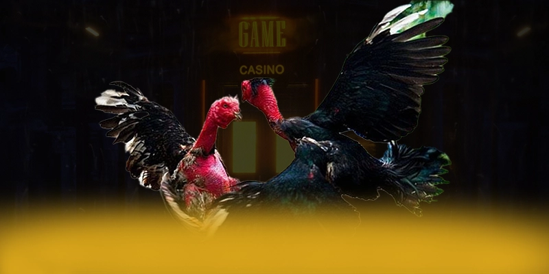 N88 - Ứng dụng giải trí ưu đãi khủng hiện nay – Săn ngay N88