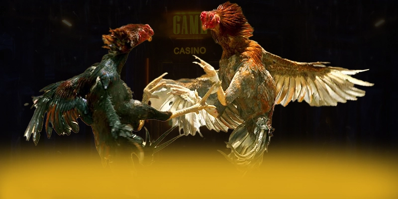 
Giới thiệu CONGA6789 - Trang game đáng chơi nhất hiện nay
