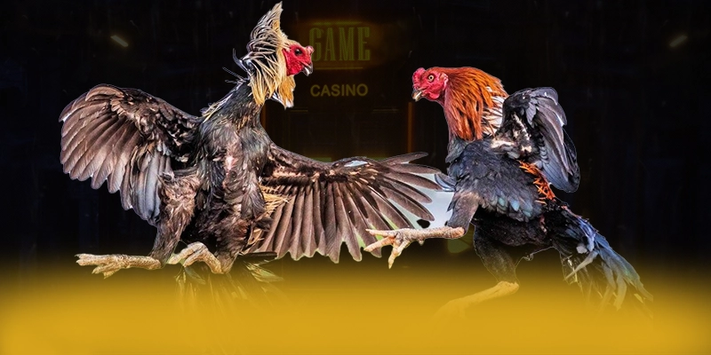 CONGA6789 - Ứng dụng giải trí được cộng đồng săn đón được yêu thích hàng đầu – Khám phá sự kiện hấp dẫn tại CONGA6789