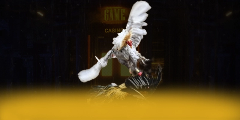 
Đánh giá N88 - Thương hiệu được đánh giá cao mới nhất hiện nay
