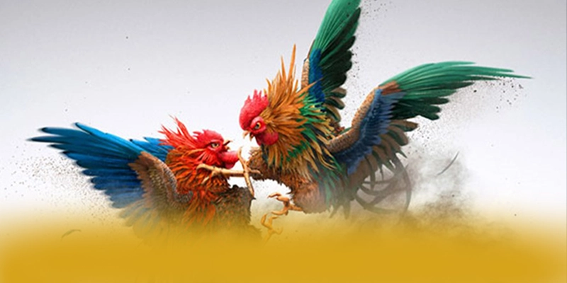 W88 - Cổng cá cược đáng trải nghiệm được yêu thích nhất