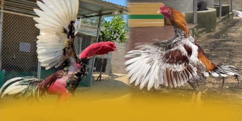 WIN79 - Thương hiệu với phần thưởng siêu lớn hiện nay – Tìm hiểu khuyến mãi độc quyền của WIN79