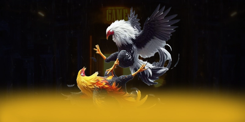 
Trải nghiệm SUNWIN - Cổng game bài phổ biến nhất được quan tâm
