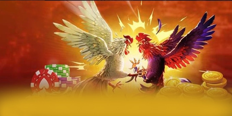 
Cập nhật thông tin về W88 - Cổng game được yêu thích nhất trên thị trường
