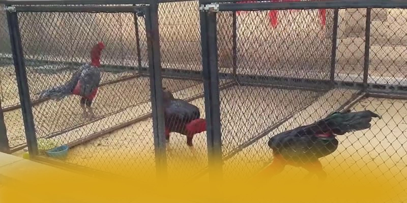 UU88 – Cổng cá cược đáng chơi nhất, đang làm mưa làm gió trên thị trường.