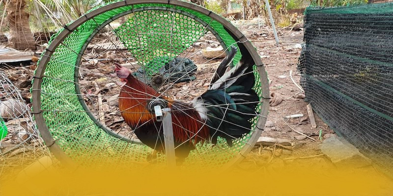 NK88 - Cổng trò chơi mượt mà được quan tâm hàng đầu