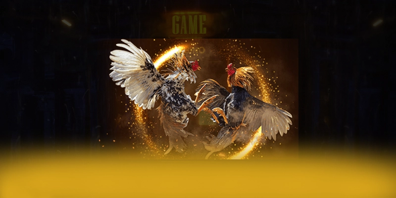 8XBET - Hỗ trợ người chơi chuyên nghiệp luôn sẵn sàng