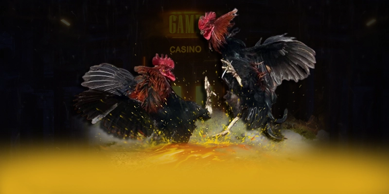 F8BET - Nền tảng cá cược minh bạch và uy tín an toàn nhất F8BET - Nền tảng cá cược minh bạch và uy tín an toàn nhất
