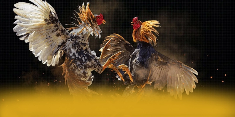 8XBET - Ưu đãi và khuyến mãi giá trị cao 8XBET - Ưu đãi và khuyến mãi giá trị cao